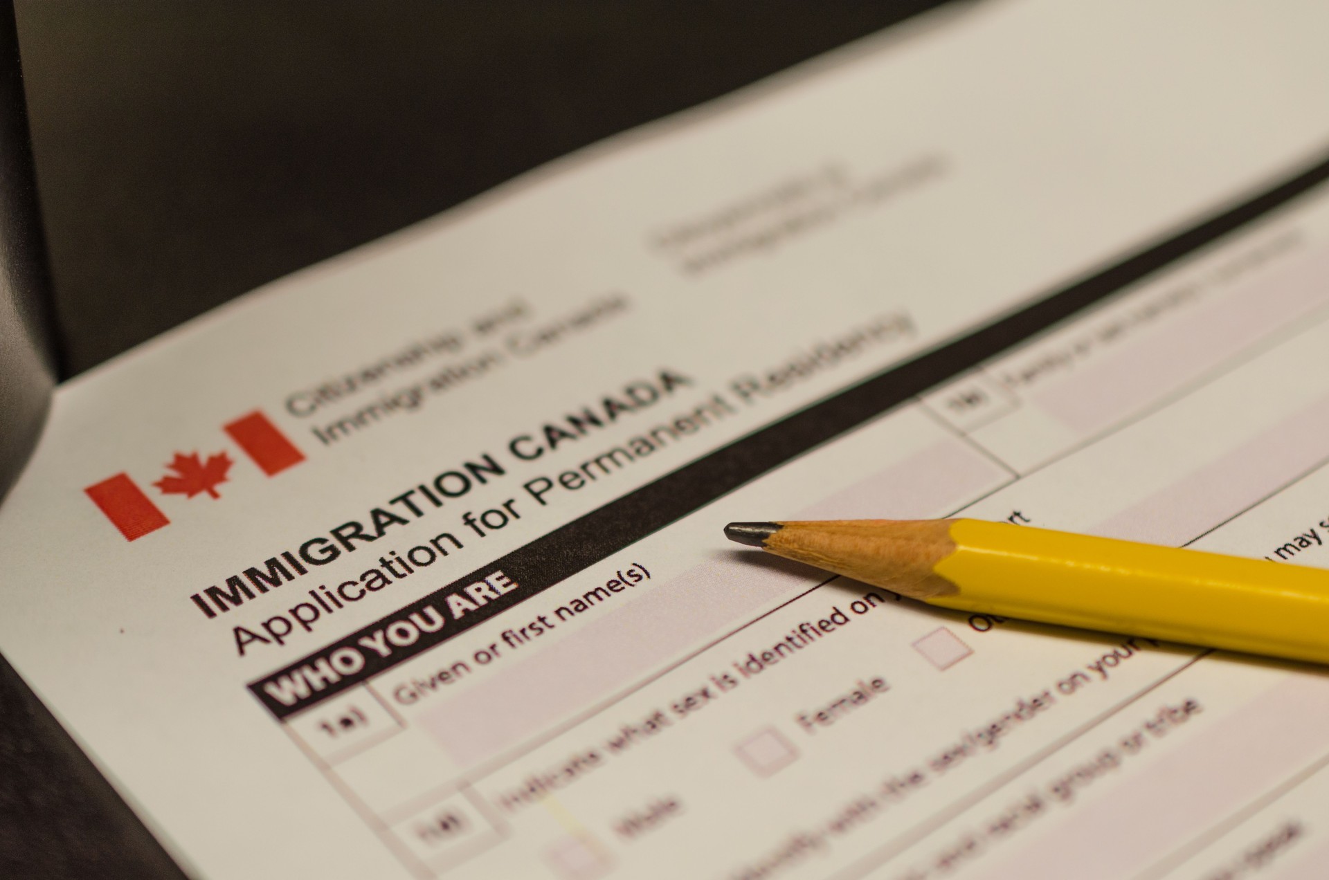 Canada immigration application form